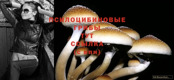 мдпв Кулебаки
