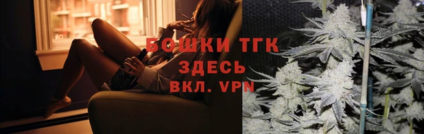 мдпв Кулебаки