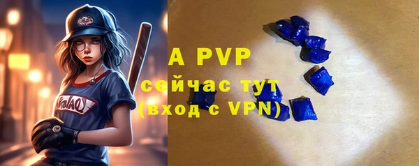 прущие грибы Кукмор