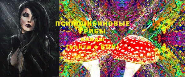 мдпв Кулебаки