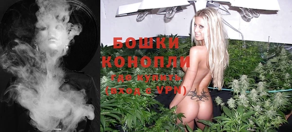 прущие грибы Кукмор