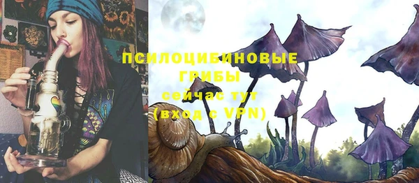 прущие грибы Кукмор