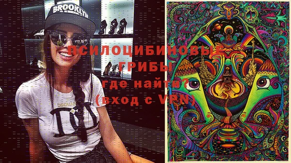 мдпв Кулебаки